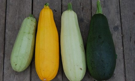 Ciesz się warzywami – cukinia jak ananas przepis