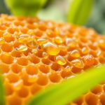 Jak stosować propolis? Metody, dawkowanie i korzyści zdrowotne